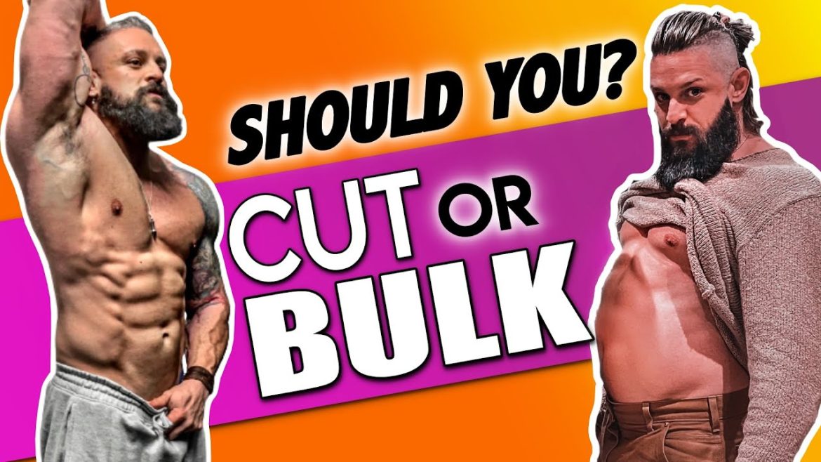 Cutting Vs Bulking Which You Should Choose And How To Do It Avoid These Mistakes Lex